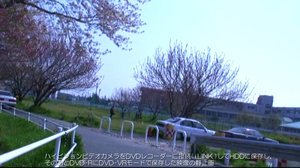 DVD-VRモードの桜並木