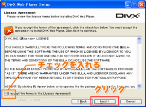 「I accept the terms in the License Agreement」にチェックを入れます。