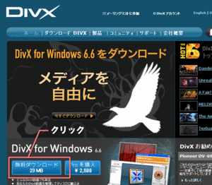 DivXのサイトからもダウンロードできます。