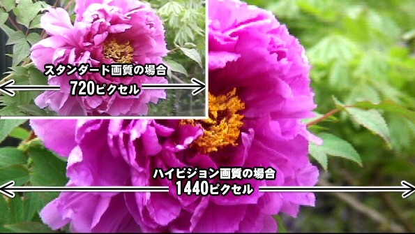 ハイビジョンとスタンダードの違い。720p以上の動画をハイビジョンと呼ぶ。