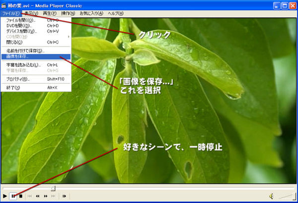 動画をキャプチャーする Media Player Classic