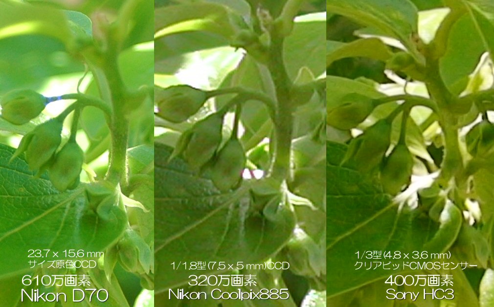 クリックすると窓を閉じます