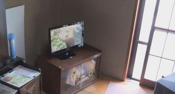 19インチ 地デジ液晶テレビを購入しました